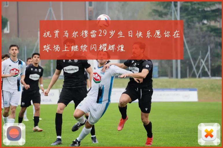 祝贾马尔穆雷29岁生日快乐愿你在球场上继续闪耀辉煌