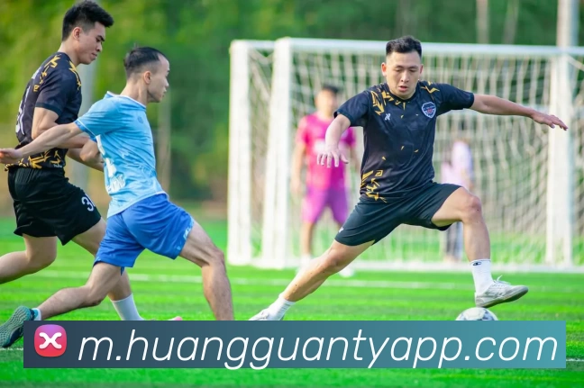 皇冠体育APP平台生态图